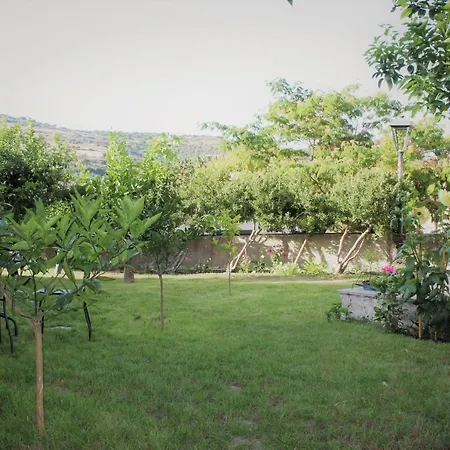 Il Giardino Degli Aranci