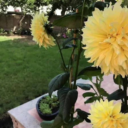 Il Giardino Degli Aranci Oda ve Kahvaltı Modolo (Oristano)