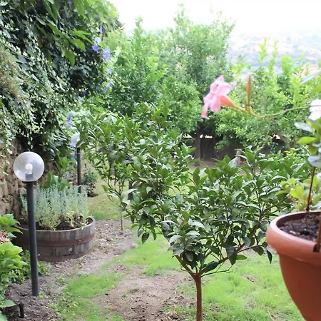 فندق مبيت وإفطار Il Giardino Degli Aranci 3*