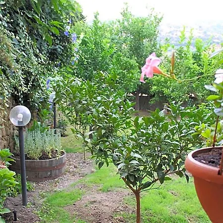 ベッド・アンド・ブレックファスト Il Giardino Degli Aranci モードロ