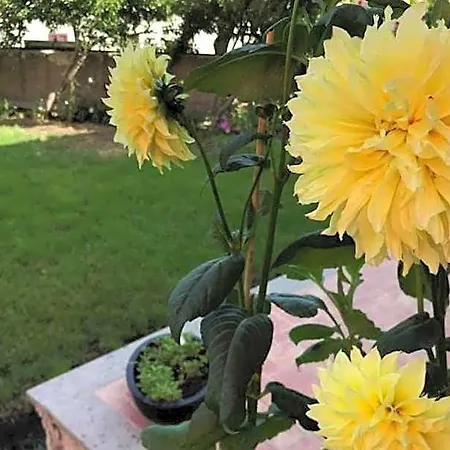 Il Giardino Degli Aranci Отель типа 